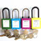 Nylon Shackle, ABS Body, Brass Cylinder Inside Safety Lockout Padlocks supplier