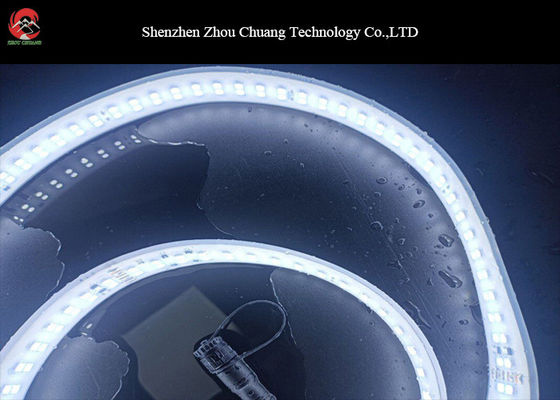 Waterproof IP68 Double row led strip lights support customizable lighting color  12V 24V 210V 220V Available supplier